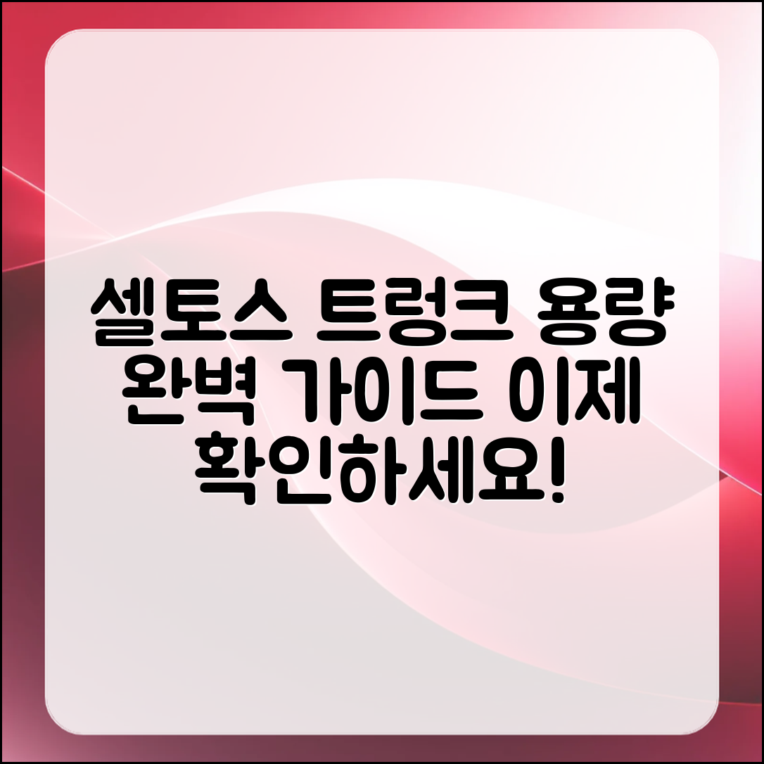 셀토스 트렁크 용량 완벽 가이드