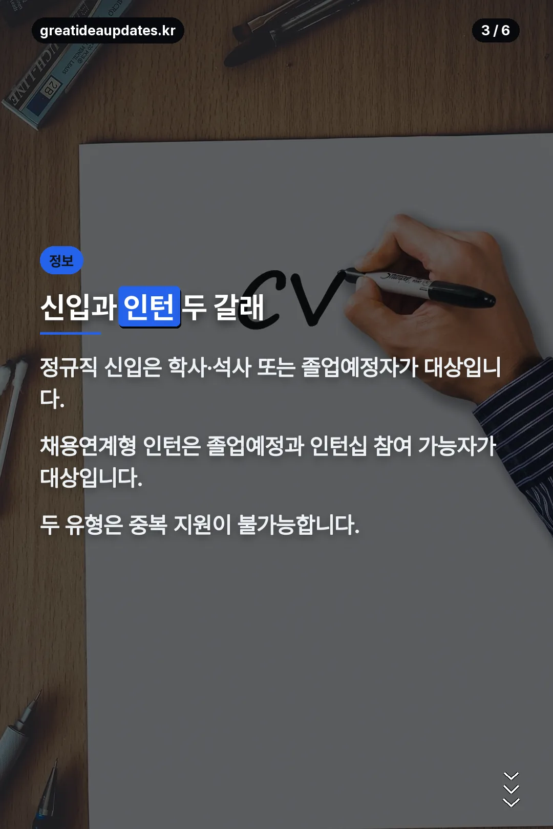 신입과 인턴 설명