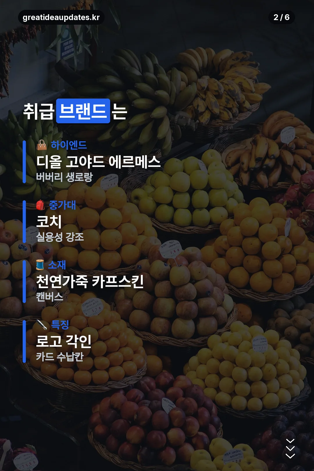 취급 브랜드 정리