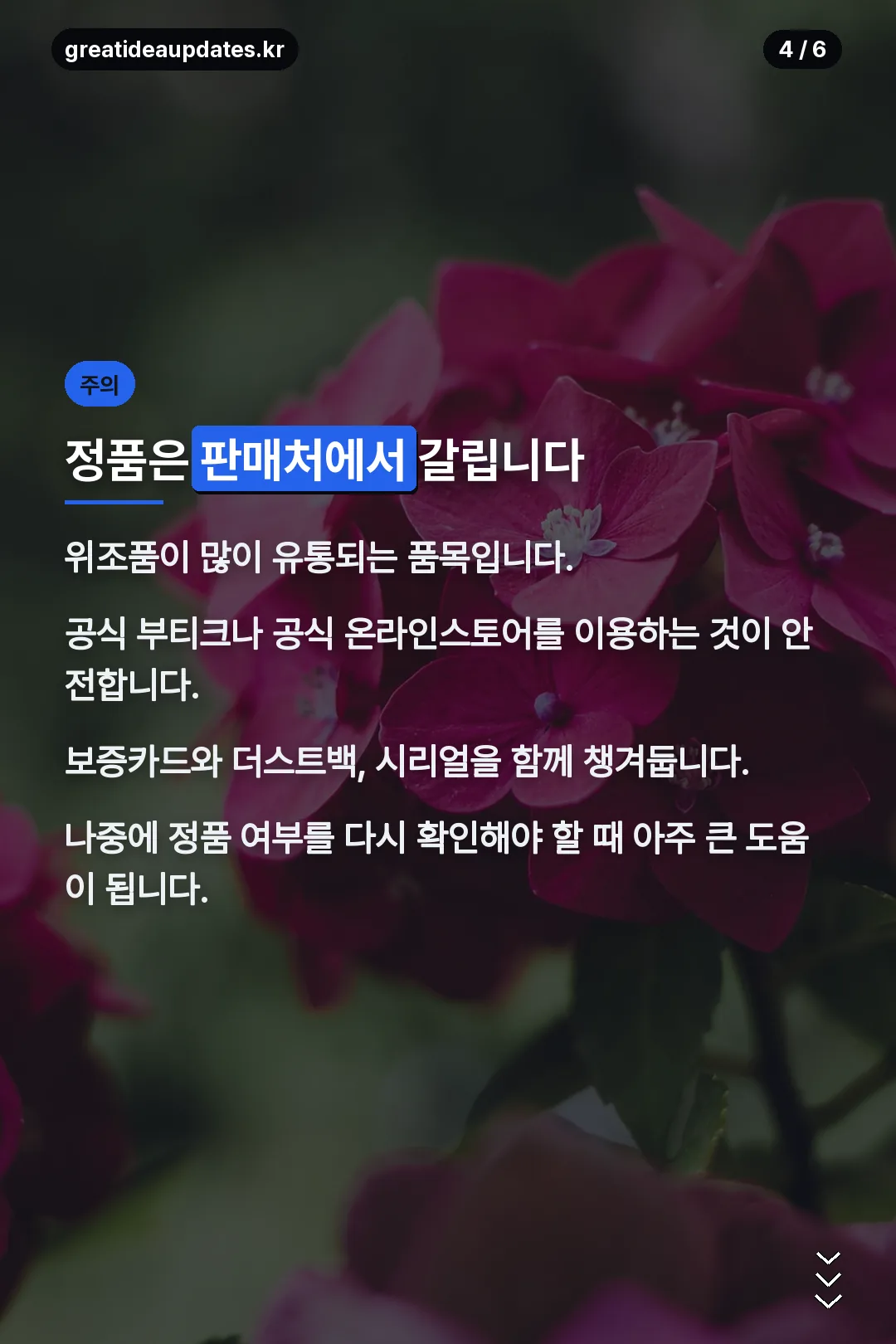정품 확인 주의