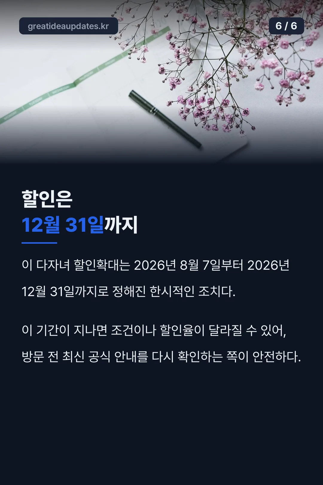 할인 12월 31일까지