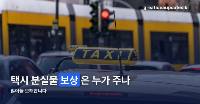 티머니 택시 분실물 보상 정리 썸네일